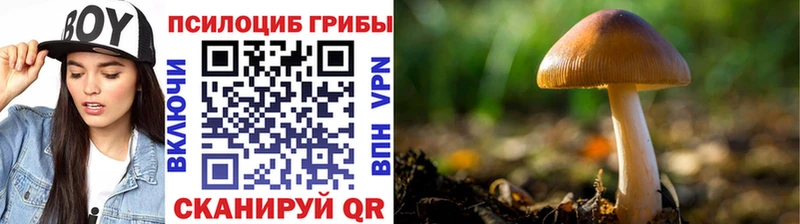 Галлюциногенные грибы мицелий купить наркотик Калач